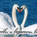 ���� �������, ������, 62 ���� - ��������� 15 ���� 2015 � ������ �������� ��������