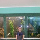 ���� ����������������������, ��������, 38 ��� - ��������� 7 �������� 2015 � ������ ���� ���� ������