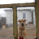 ���� �����, ������-��-����, 57 ��� - ��������� 11 ���� 2015 � ������ ���������)))�