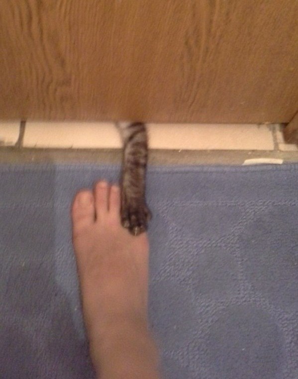 ����� ���� ��� ������������ ���� � ����� 