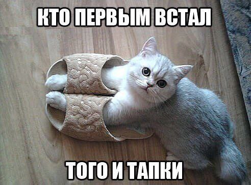 ,  !..))