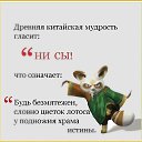  ,  -  31  2015    