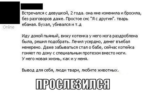   - 3  2015  20:06