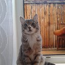  ♥♥, - -  5  2015    