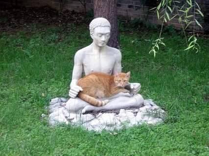 ,  