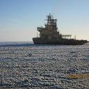 ���� ����, �����-���������, 47 ��� - ��������� 27 ��� 2015 � ������ ������ ��������