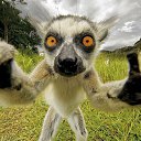 ���� �������, �����-���������, 53 ���� - ��������� 5 ���� 2015 � ������ ���� ����������