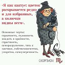 ���� ������, ���������, 49 ��� - ��������� 29 ������ 2015 � ������ ������ ��������