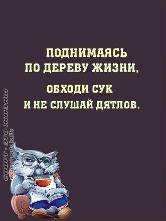  -   - 23  2015  21:28