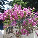 ���� �������, ��������, 53 ���� - ��������� 7 ���� 2015 � ������ ������� ������� .�