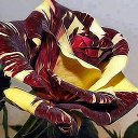 ����� ������ ��� ���!!!! �� ������� ���� ����������