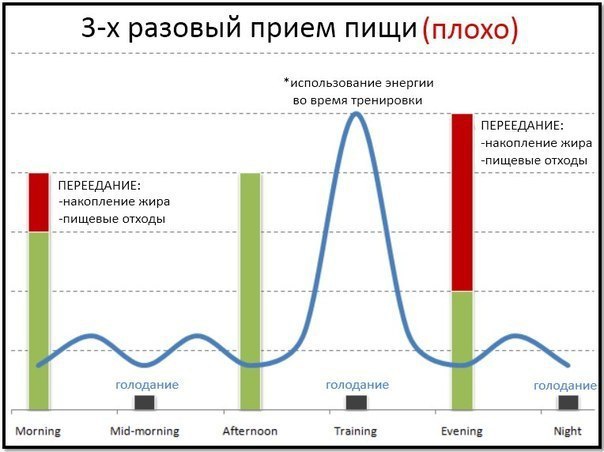 Сколько раз в день нужно есть? Это надо знать. Частота ... СПОРТ - ЭТО ЖИЗНЬ Фот