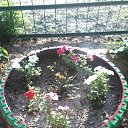 ���� �����, �����������, 44 ���� - ��������� 16 ���� 2015 � ������ ������ ��������