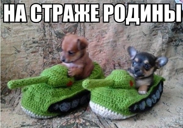 ������������ ���� - 29 ��� 2015 � 21:15