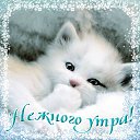   , - -  27  2015    