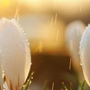 ���� ����, ������, 45 ��� - ��������� 6 ������� 2015 � ������ ������ ��������