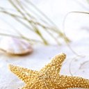���� ���� ))), ������ - ��������� 3 �������� 2015 � ������ ������� ����