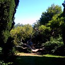 ���� ������, ������ - ��������� 8 ������� 2015 � ������ ����� 2015�