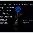 ���� ���������, ��������, 40 ��� - ��������� 19 ��� 2015 � ������ ���� ����������