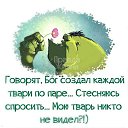 ���� ����, ������ - ��������� 12 ������� 2015 � ������ ������ ��������
