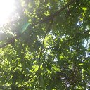  , , 45  -  22  2015    2015