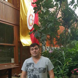 ���� Nedim, ����� - ��������� 12 ������� 2015