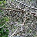  , , 60  -  7  2015       04.05.15.