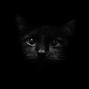  Zl@t@, -- -  23  2015   