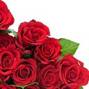 ���� ����, ���������, 44 ���� - ��������� 12 ���� 2015 � ������ ���� ����������