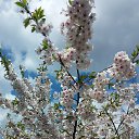 ���� Kristina, �������, 54 ���� - ��������� 27 ������ 2015 � ������ ���� ����������