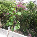    -  ,  -  4  2015    2014.  .  6-.