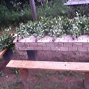 ���� ��������, ������� ��������, 68 ��� - ��������� 3 ������� 2015 � ������ ���� ����������