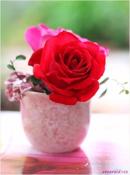 ���� - 9 ��� 2015 � 07:17 - 3