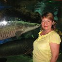 ���� �������, �����������, 56 ��� - ��������� 19 ���� 2015 � ������ ���� ����������