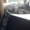 ���� ����, ������, 65 ��� - ��������� 4 �������� 2015