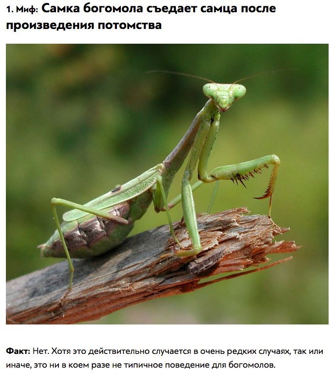   ! - 2