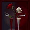 ���� �����, ������, 67 ��� - ��������� 26 ������� 2015 � ������ ������