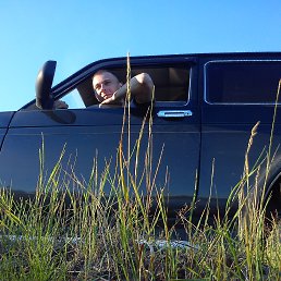 �����, ��������, 37 ���