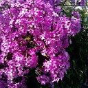 ������ ������
 :) �� ������� ���� ����������