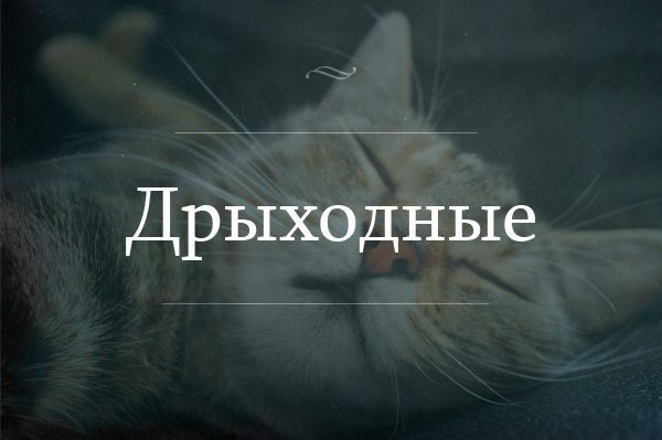       - 9  2015  08:03