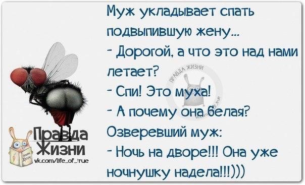  - 9  2015  12:53