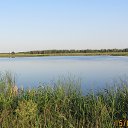  , -- -  19  2015    2015