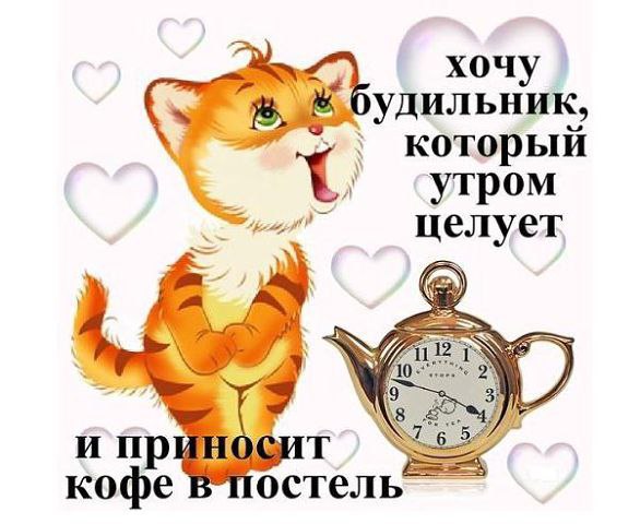    - 19  2015  11:29