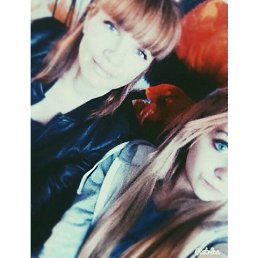 ����, �����������, 54 ����