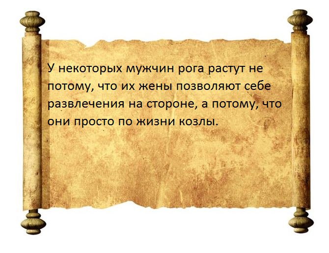    - 9  2015  19:12