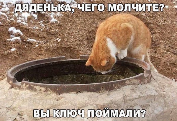  - 21  2015  19:12