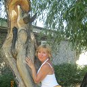 ���� ���� ��������, ������ - ��������� 31 ������� 2015 � ������ ���� ����������