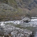  Leo13, , 58  -  2  2015    