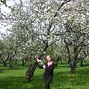 ���� �������, ������, 71 ��� - ��������� 15 ��� 2015 � ������ ���� ����������