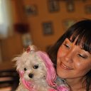  Larisa, , 50  -  10  2015    